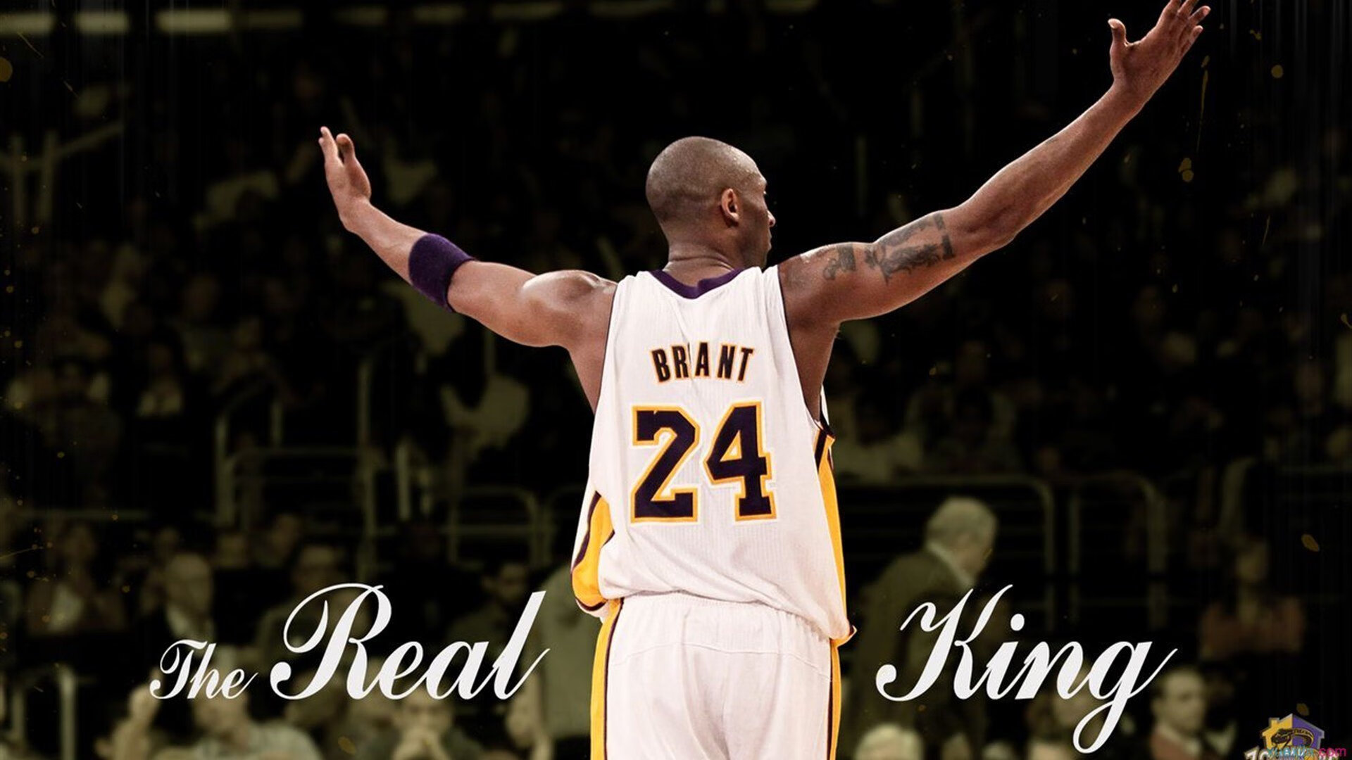 FIFA电竞赛中国选手闯入四强,刷新纪录,fifa电竞比赛