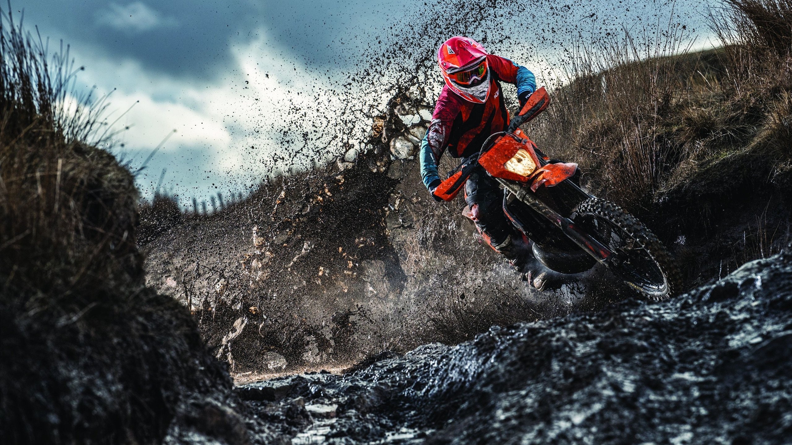 最激烈的季后赛战局一览：谁能逆袭夺冠？，季后赛战果